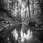 Light by Byron Neslen Photography