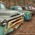 Line 'em up! by Cheyenne L Rouse Photography