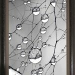 Spiderweb Jewels Framed by The Nature Gallery