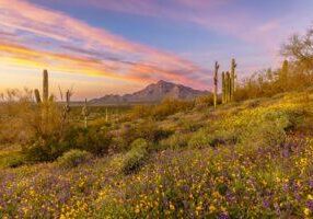 Spring-Sunset-at-Picacho-Peak-2-by-Byron-Neslen-Photography