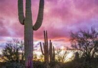 Sunset Near Picket Post Mountain by Byron Neslen Photography