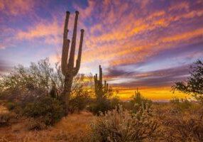 Sunset near the Salt River by Byron Neslen Photography