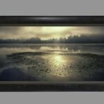 Washington Lilypads Framed by The Nature Gallery