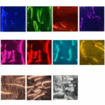 Satellite Squares Set by Meyerdirk Art